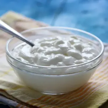 Plain Curd