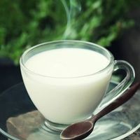 HOT OR COLD MILK 
