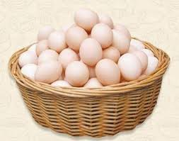 FARM FRESH EGG
