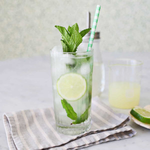 Virgin Mojito.